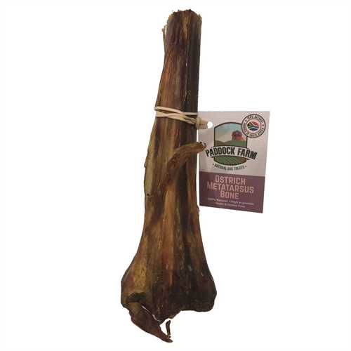 Ostrich Metatarsus Bone