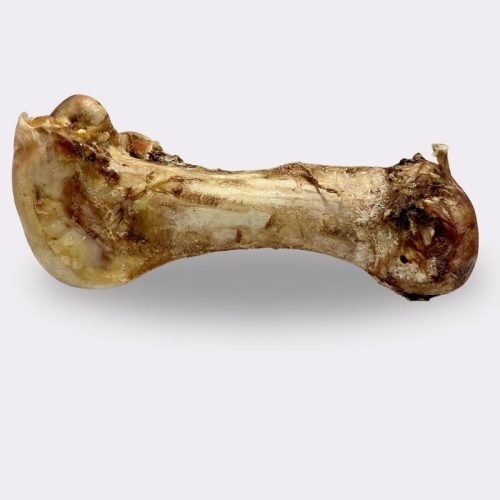Jumbo Ostrich Bone