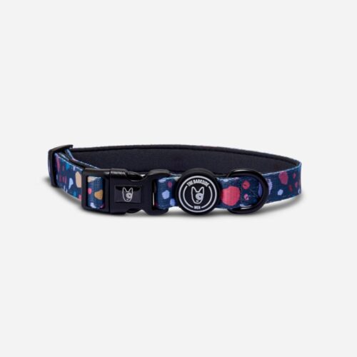 The Barkside Razzo Dog collar