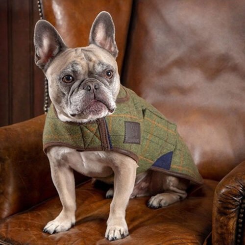 Digby and Fox Tweed Dog Coat