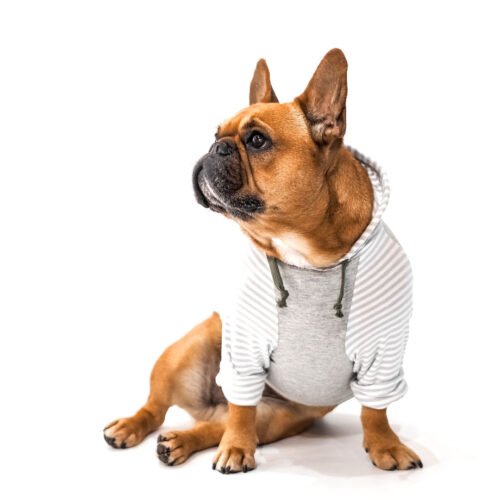 The Barkside Jersey Grey and White Striped Dog Hoodie