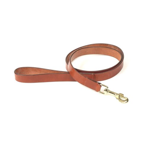 Digby and Fox Tan Leather Dog Lead