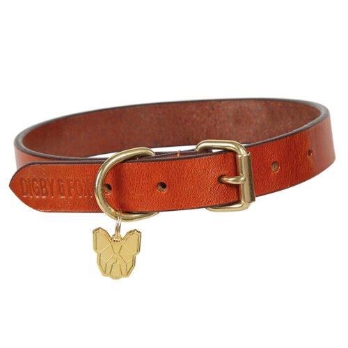 Digby and Fox Flat Tan Leather Dog Collar