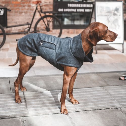 The Barkside Waterproof Wool Dog Coat Grey