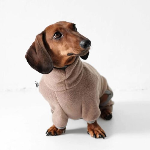 Walnut Dachshund Fleece Overall