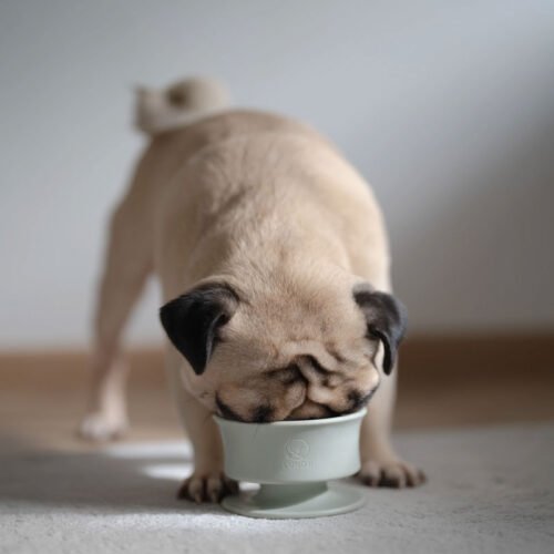 Lunoji Chewden Trove: Dog Enrichment Feeder Sage Green (Frozen Treat)