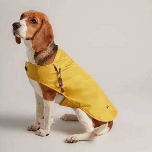 Joules Antique Gold Dog Raincoat