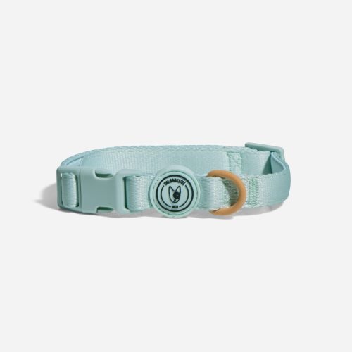 Aqua and Peach Dog Collar