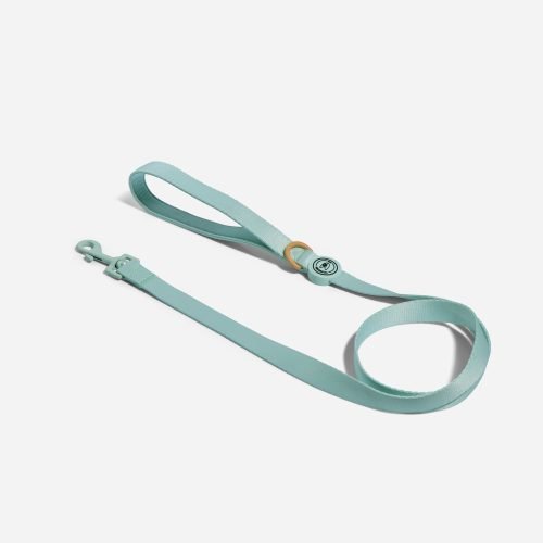 Aqua and Peach Dog Lead