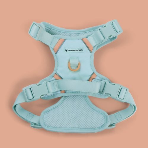 Aqua and Peach Dog Harness