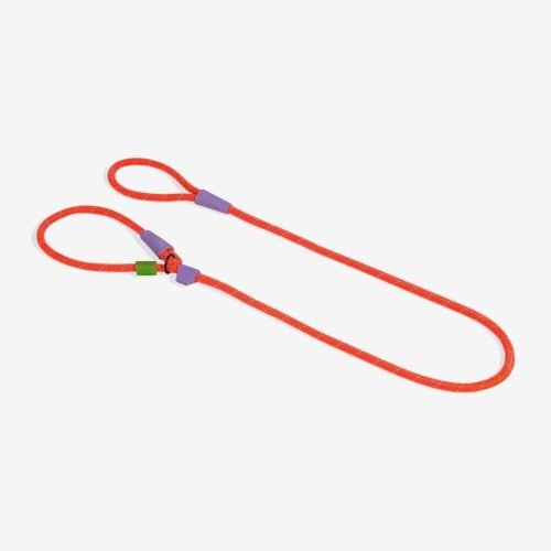 Slip-N-Lock Everest Dog Slip Lead Orange